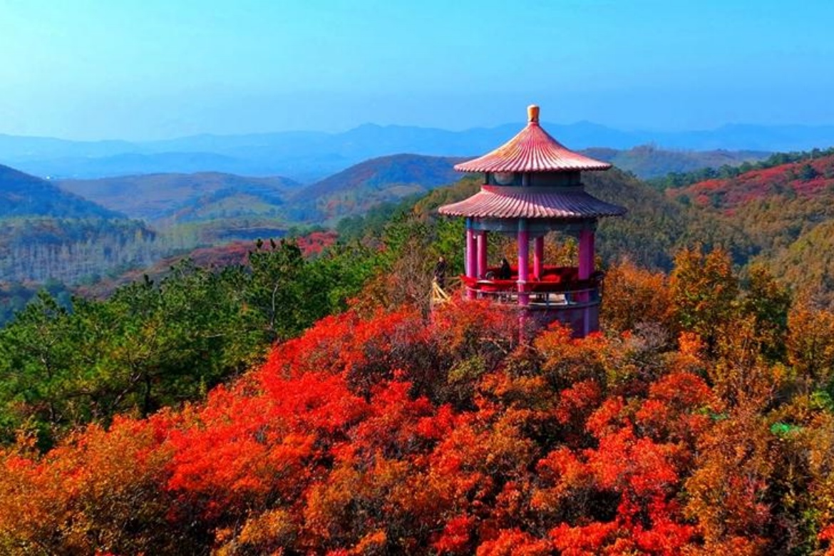 Tongbai Red Leaves